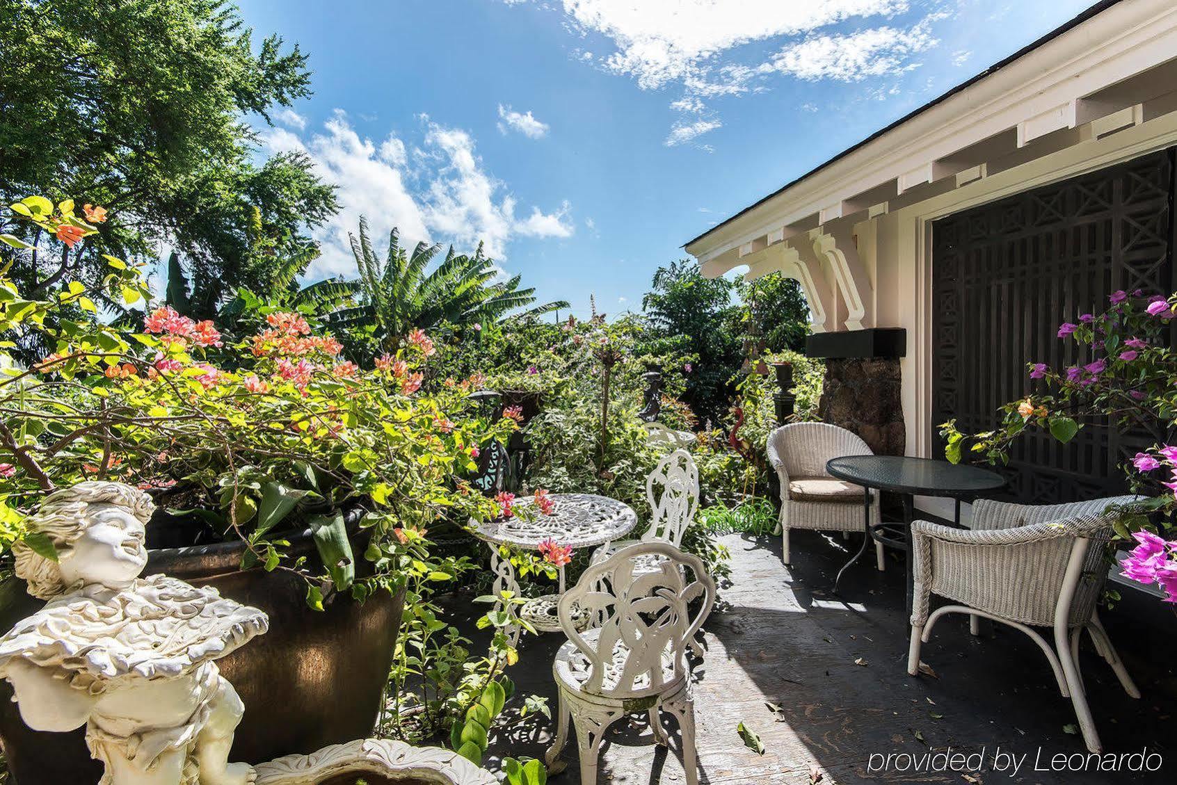 Manoa Valley Inn Χονολουλού Εξωτερικό φωτογραφία